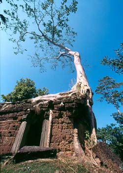 Banteay Thom, Siem Reap, Cambodia - Hanuman Tourism Voyages