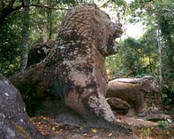 Sra Damrei Animals, Siem Reap, Cambodia - Hanuman Tourism Voyages