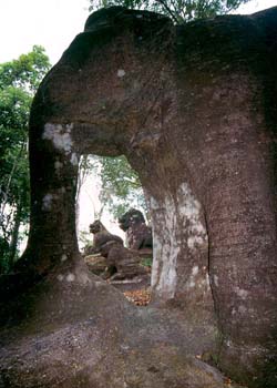 Sras Damrei Elephant, Siem Reap, Cambodia - Hanuman Tourism Voyages