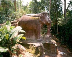 Sras Damrei Elephant, Siem Reap, Cambodia - Hanuman Tourism Voyages