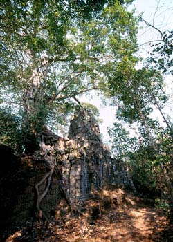 Ta Prohm North Gate, Siem Reap, Cambodia - Hanuman Tourism Voyages