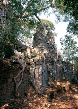 Ta Prohm North Gate, Siem Reap, Cambodia - Hanuman Tourism Voyages