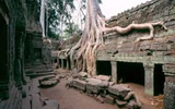 Hanuman Tourism Voyages